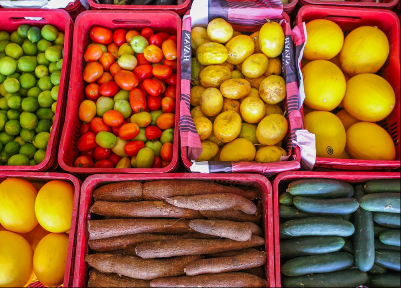 Escolas públicas municipais terão alimentos oriundos da agricultura familiar; confira o edital de chamamento