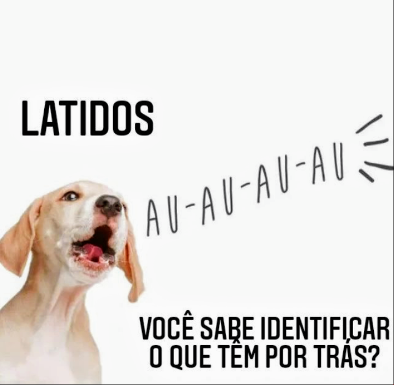 Latidos excessivos