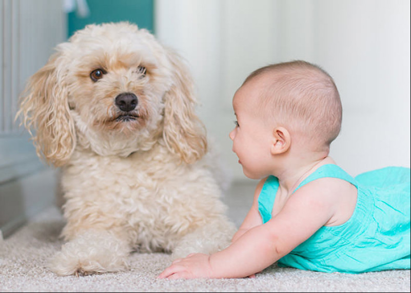 Crianças e animais, uma relação que merece atenção