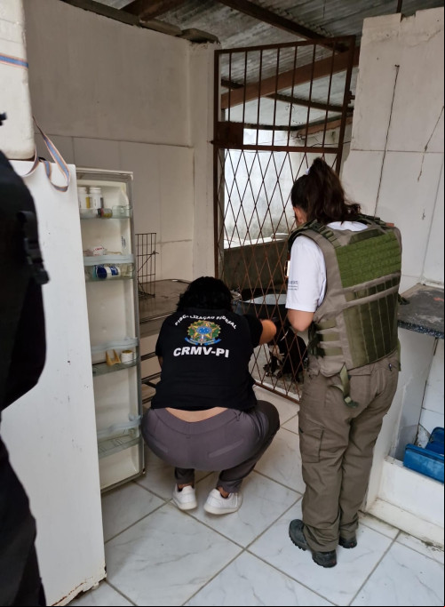 Três pessoas são presas em operação contra falsos veterinários em Teresina