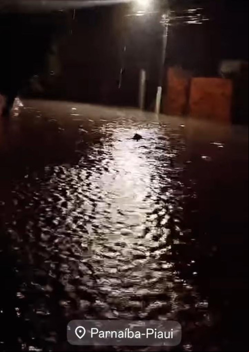 Chuvas de volume extremo atingem litoral do Piauí; bairros de Parnaíba estão alagados