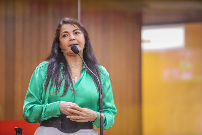 Os motivos de Teresa Britto para não facilitar a vida de Fábio Novo