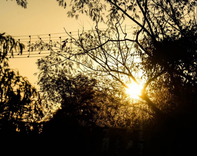 B-R-O BRÓ terá ondas de calor com temperaturas acima da média; pico deve ser em outubro