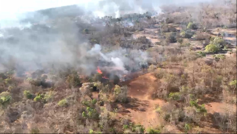 Bombeiros controlam incêndio de grandes proporções em vegetação em Campo Maior
