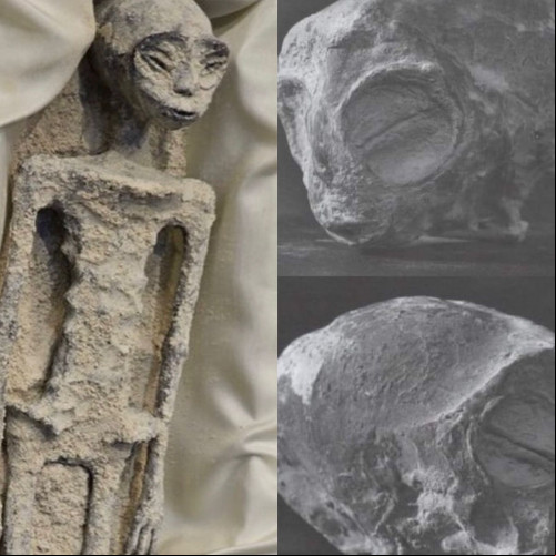 VÍDEO: Corpos de supostos aliens são exibidos no México; entenda