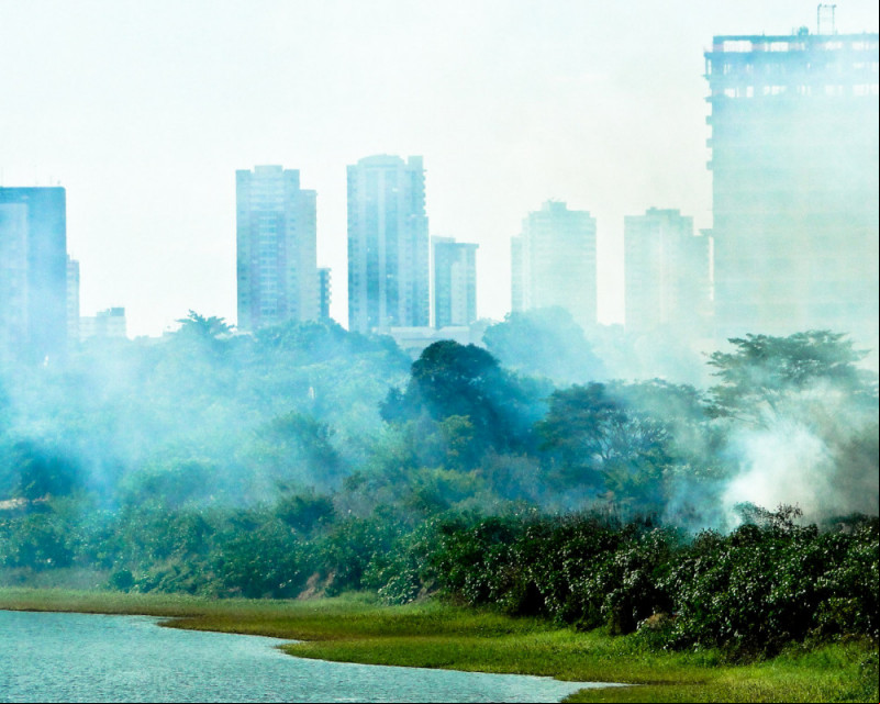 Piauí teve aumento de 63% nos focos de incêndio de junho a julho, aponta Inpe