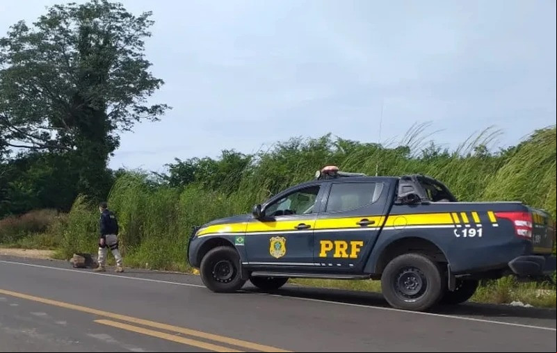 Foto meramente ilustrativa - (Divulgação/SSP)