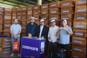 Produção de mel no Piauí deve alcançar R$ 6 milhões com ampliação de colmeias