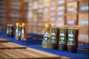 Produção de mel no Piauí deve alcançar R$ 6 milhões com ampliação de colmeias