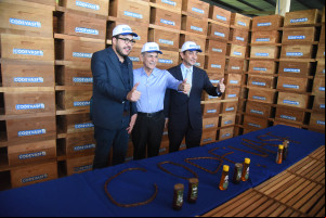 Produção de mel no Piauí deve alcançar R$ 6 milhões com ampliação de colmeias