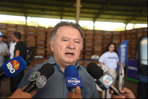 Produção de mel no Piauí deve alcançar R$ 6 milhões com ampliação de colmeias