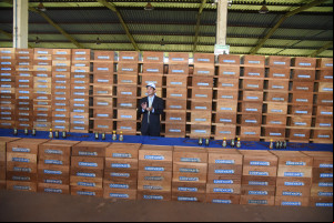 Produção de mel no Piauí deve alcançar R$ 6 milhões com ampliação de colmeias
