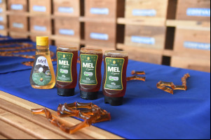 Produção de mel no Piauí deve alcançar R$ 6 milhões com ampliação de colmeias