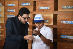 Produção de mel no Piauí deve alcançar R$ 6 milhões com ampliação de colmeias